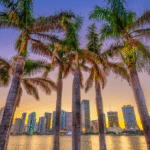 Have You Integrated Your Canadian and U.S. Assets into One Florida-Friendly Plan?